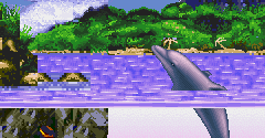 Ecco the Dolphin