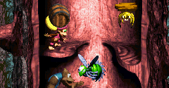 Donkey Kong Country 3: Dixie Kong's Double Trouble