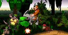 Donkey Kong Country