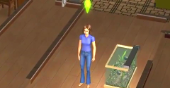 The Sims 2