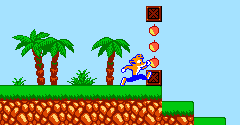 crash bandicoot nes