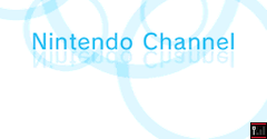 Nintendo DS Title Recommendation Program