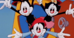 Animaniacs Customs