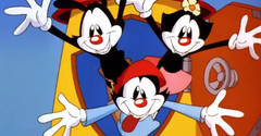 Animaniacs Customs