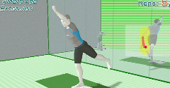 Wii Fit