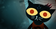 Night in the Woods Customs