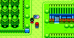 Pokémon Leaf Green (Bootleg)