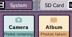 DSI Camera