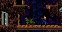 Blackthorne / Blackhawke