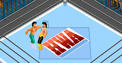 Super Fire Pro Wrestling 2