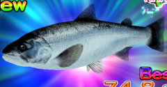 Wii - Fishing Master World Tour - Title Screen - The Spriters Resource