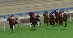 Derby Stallion 64 (JPN)