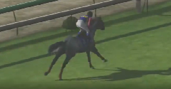 Winning Post 7 2012 (JPN)
