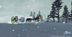 Husky Express