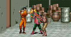 Final Fight Guy