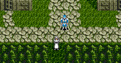 Phantasy Star 3: Generations of Doom