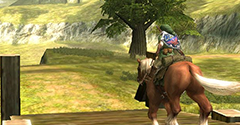 The Legend of Zelda: Twilight Princess