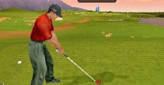 Tiger Woods PGA Tour 10