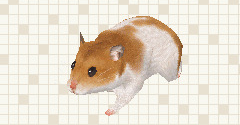 Hamsterz 2