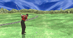 Tiger Woods PGA Tour Golf
