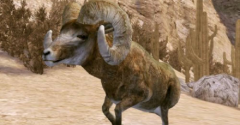 Cabela's Legendary Adventures