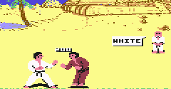 International Karate