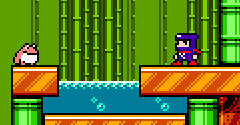 Ninja Senki DX