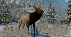 Cabela's North American Adventures