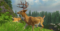 Cabela's Monster Buck Hunter