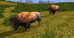 Cabela's Big Game Hunter: 2005 Adventures