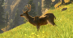 Cabela's Trophy Bucks