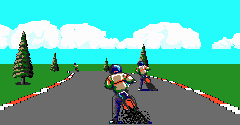 Enduro Racer