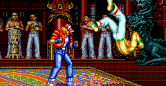 Fatal Fury