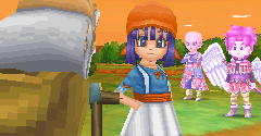 Dragon Quest 9: Sentinels of the Starry Skies