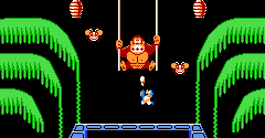 Donkey Kong 3