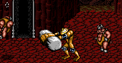 Battletoads in Battlemaniacs