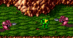 Battletoads