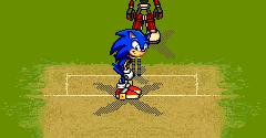 Sonic Cricket