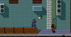 Ninja Gaiden (JPN)