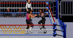 WWF Royal Rumble