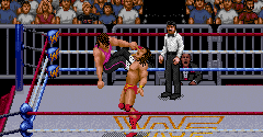 WWF RAW