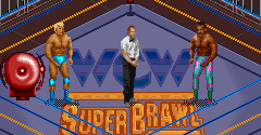 WCW SuperBrawl Wrestling (USA)