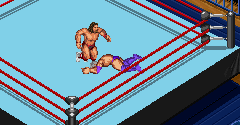 Fire Pro Wrestling 2