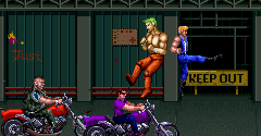 Double Dragon 3: The Rosetta Stone