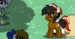 Pony Town