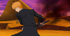 Bleach: Heat The Soul 3