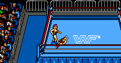 WWF Wrestlemania - Steel Cage Challenge (PAL)
