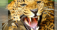 Amazing Animals Jigsaw Puzzles