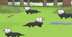 Sea Otter Evolution