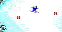 Winter Olympics